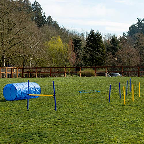 CHEERING PET Dog Agility Training Kit - 29 Piece Obstacle Course with 58.5" Long Tunnel, Adjustable Hurdles, Poles, Whistle, Rope Toy, Treat Bag - Pet Outdoor Play Equipment with Carrying Case