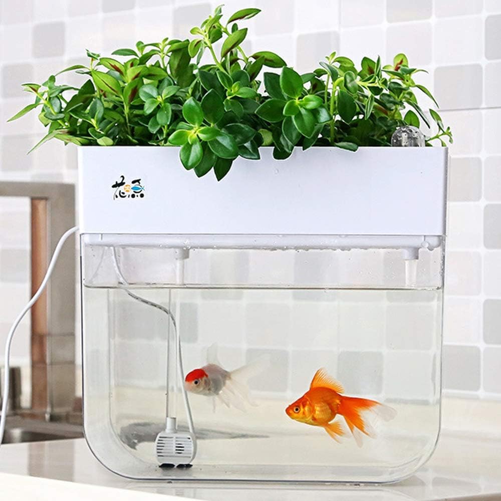 Mini Aquaponic Ecosystem Fish Tank Hydroponic Cleaning Tank Fish Feeds Plants Great Gardening