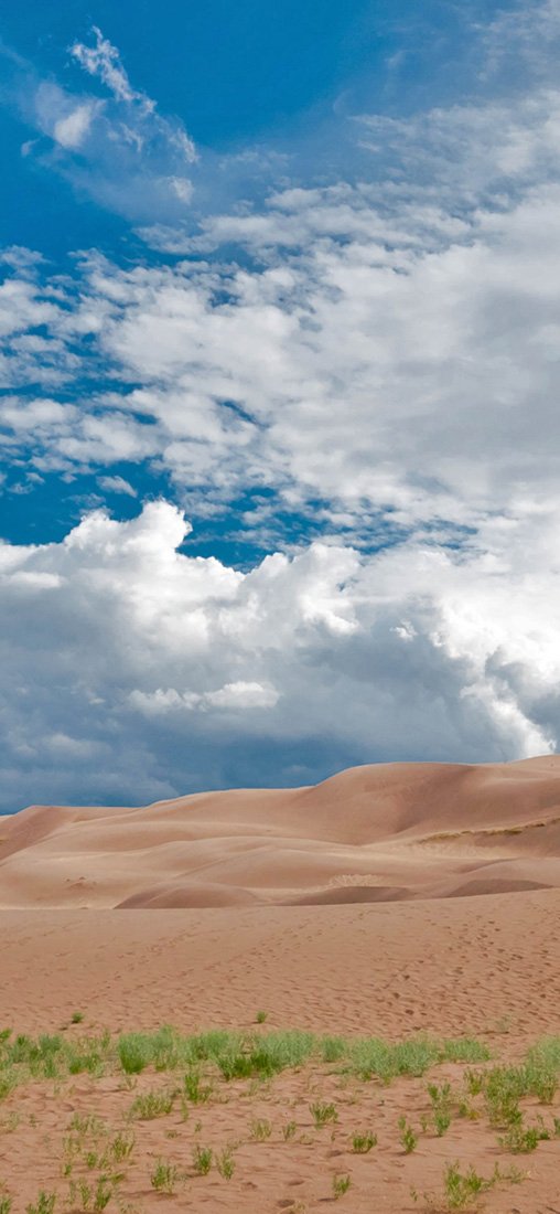 PeelitStickit, Beautiful Nature Wall Murals, ID-2843, vinyl