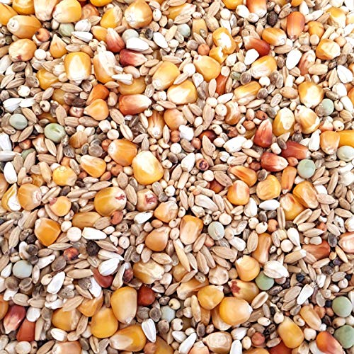 Supravit Reise Taubenfutter 25kg ohne Weizen | hochwertiges Futter für Tauben | optimale Körnermischung vor der Reise für Zucht Tauben | unterstützt die Kondition und Leistungsfähigkeit – Bild 3