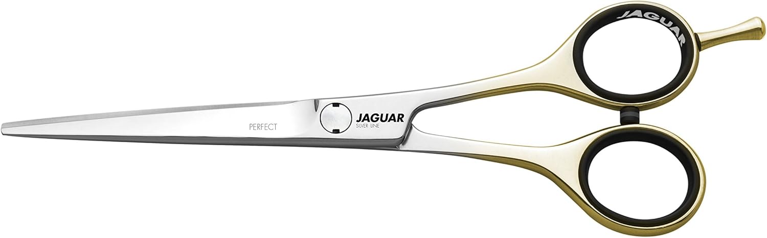 Jaguar Perfect Scissors 5.5 Inch / 14 cm, Gold,silver, 5.5 Zoll/14 cm