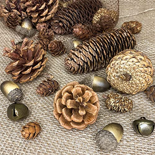 CHolic 72Pcs Pine Cone Set, Natural Pinecone Acorns Pine Cones Ornaments for Autumn and Winter Crafts Decorating, Christmas Decor, Bowl Vase Fillers