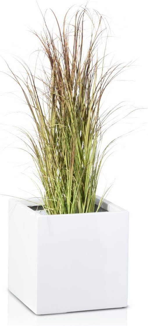 Maceta de fibra de vidrio CUBO 30, 30x30x30 cm, blanco brillante ...