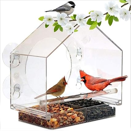 Amazon Com Tegongse Window Bird Feeder House By Nature Anywhere