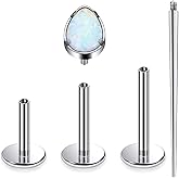 Xnsjeyy 16G Astm F136 Titanium Internal Thread Flat Back Earrings Nose Studs Tragus Forward Helix Conch Cartilage Lobe Earrings Stud Medusa Labret Monroe Lip Ring Piercing Jewelry For Women Men