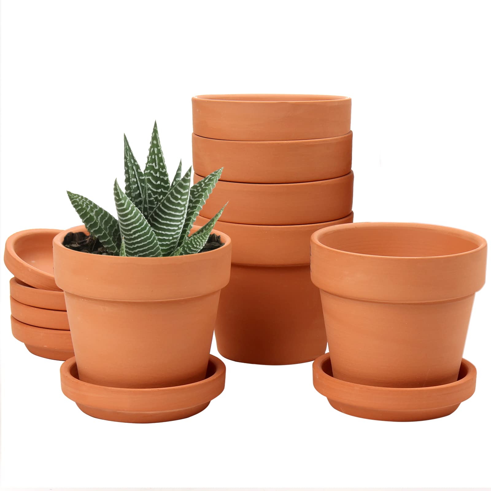 Oairse 6PCS Terracotta Plant Pots 8x7.5cm Mini Clay Pot with Drainage and Saucers for Tiny Plant Cactus Small Succulent Pot Nursery Planter for Outdoor Indoor Plants Garden Decoration