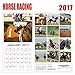 2017 Horse Racing Calendar - 12 x 12 Wall Calendar - 210 Free Reminder Stickers