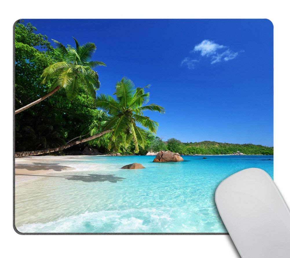 Wasach Tropical Paradise Sunshine Beach Coast Sea Palm Trees Mousepad,Custom Rectangular Mouse Pad 9.5 X 7.9 Inch (240mmX200mmX3mm)