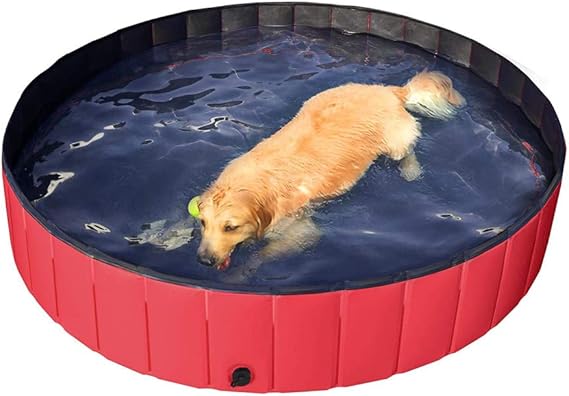 large kiddie pool for dogs