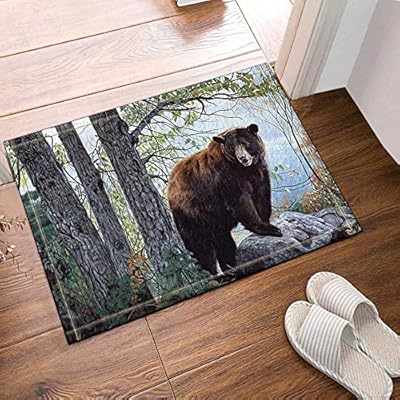 Big Dog Bear Brown Bear Bathroom Floor Carpet Anti Slip Floor