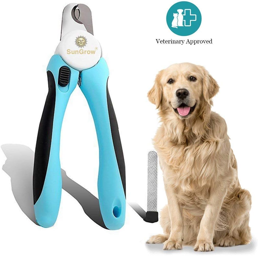 good dogs to hike with