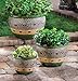 Gifts & Decor Ceramic Jade Garden Planters Flower Plant Pot Set, 3-Piece