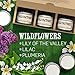 Scented Candles - Wildflowers - Decorative Aromatherapy - Handmade in The USA with Only The Best Fragrance Oils - 3 x 4-Ounce Soy Candles