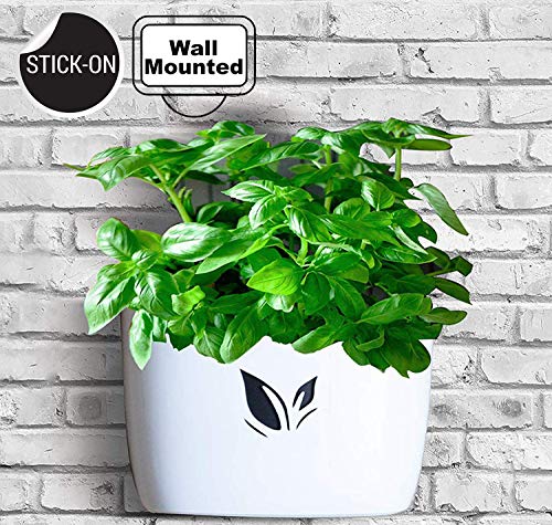 Wall Hanging Planter Pot for Herbs, Succulents – Stick On Flower Pots for Indoor Decor – No Drills, No Screws Needed – Self Watering, Low Maintenance – Supports 20 Lbs (White)