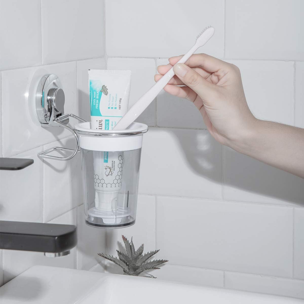 SWAMTIK Toothbrush Holder Suction Cup No Drilling Wall Mounted Toothpaste Holder Removable Stainless Steel and Razor Holder for Shower Bathroom, Utensil Holder for Kitchen, Rustproof: Kitchen & Dining