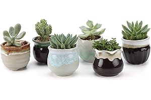 T4U Mini Ceramic Succulent Pots with Drainage - Set of 6, Tiny Pots for Plants, Home and Office Decor, Plant Lover Gifts for Women