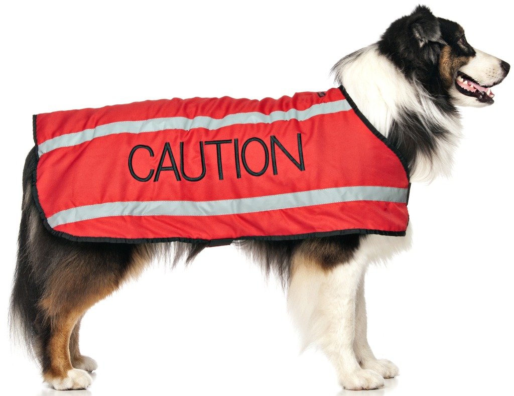 Dexil CAUTION (Do Not Approach) Red Colour Coded S M L Reflective Waterproof Fleece Lined Warm Dog Coats PREVENTS Accidents By Warning Others Of Your Dog In Advance (L-XL)