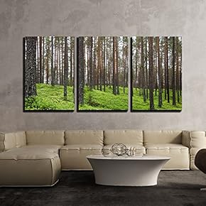 3 Piece Canvas Wall Art - Spring Forest - Modern Home Art Stretched and Framed Ready to Hang - 16"x24"x3 Panels