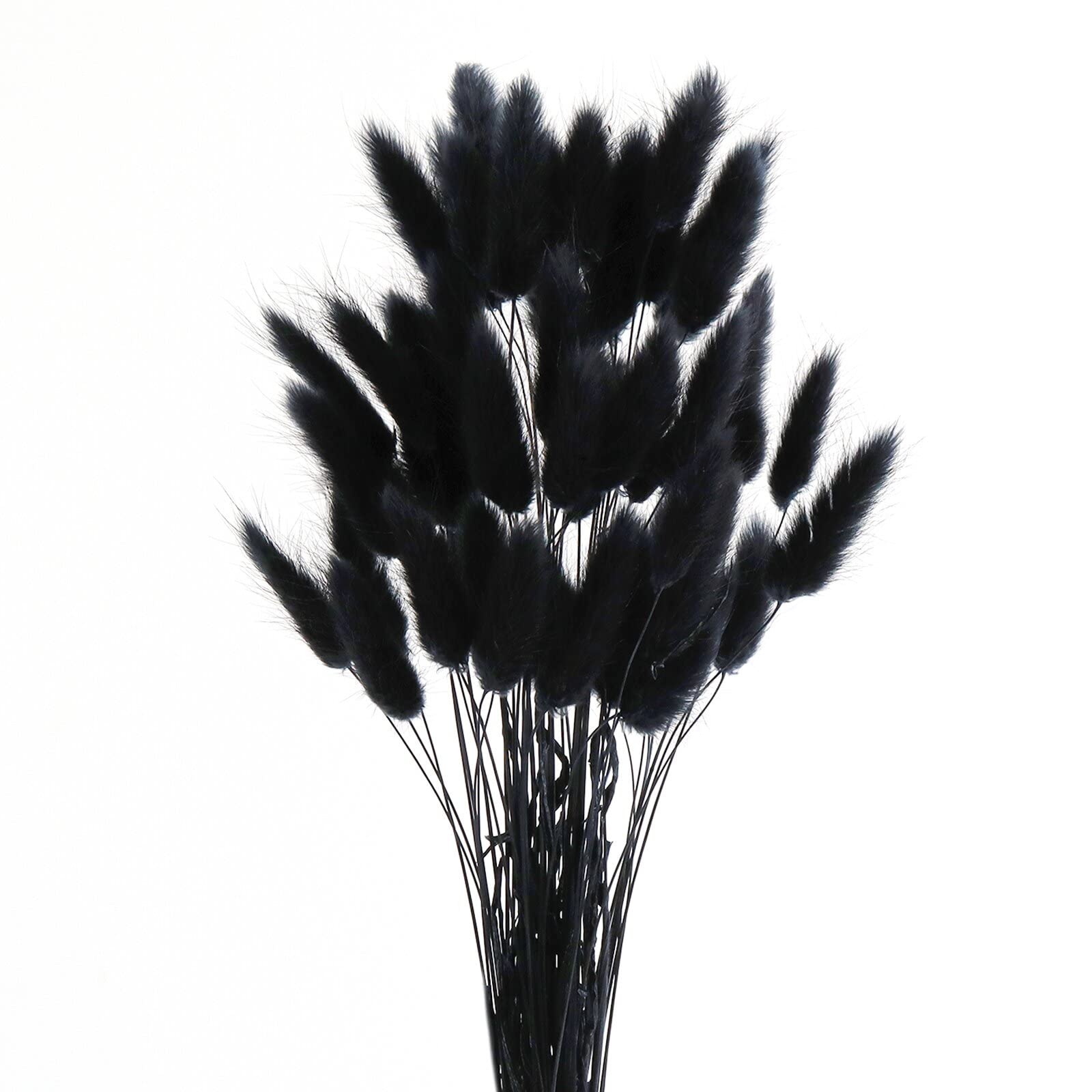 Diyxisk Pampas Grass Bouquet,50 Pcs Natural Phragmites Dried Flowers,Bunny Tail Grass Boho Decor,Suitable for Vase Wedding Dining Table Room Home Decor Accessories Living Room（Black）