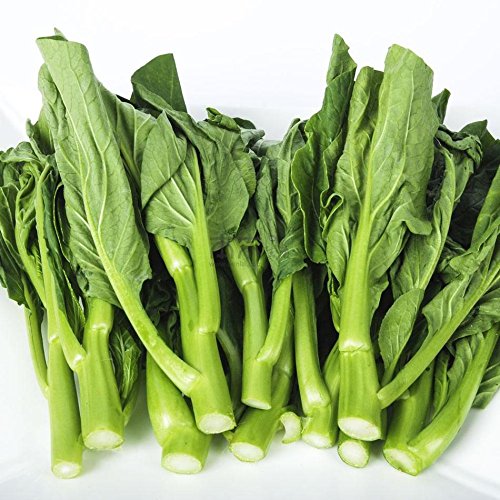 PlenTree Bonsai 100 pcs/Bag Choy Sum s Cabbage Green Vegetable for Home Garden: Green