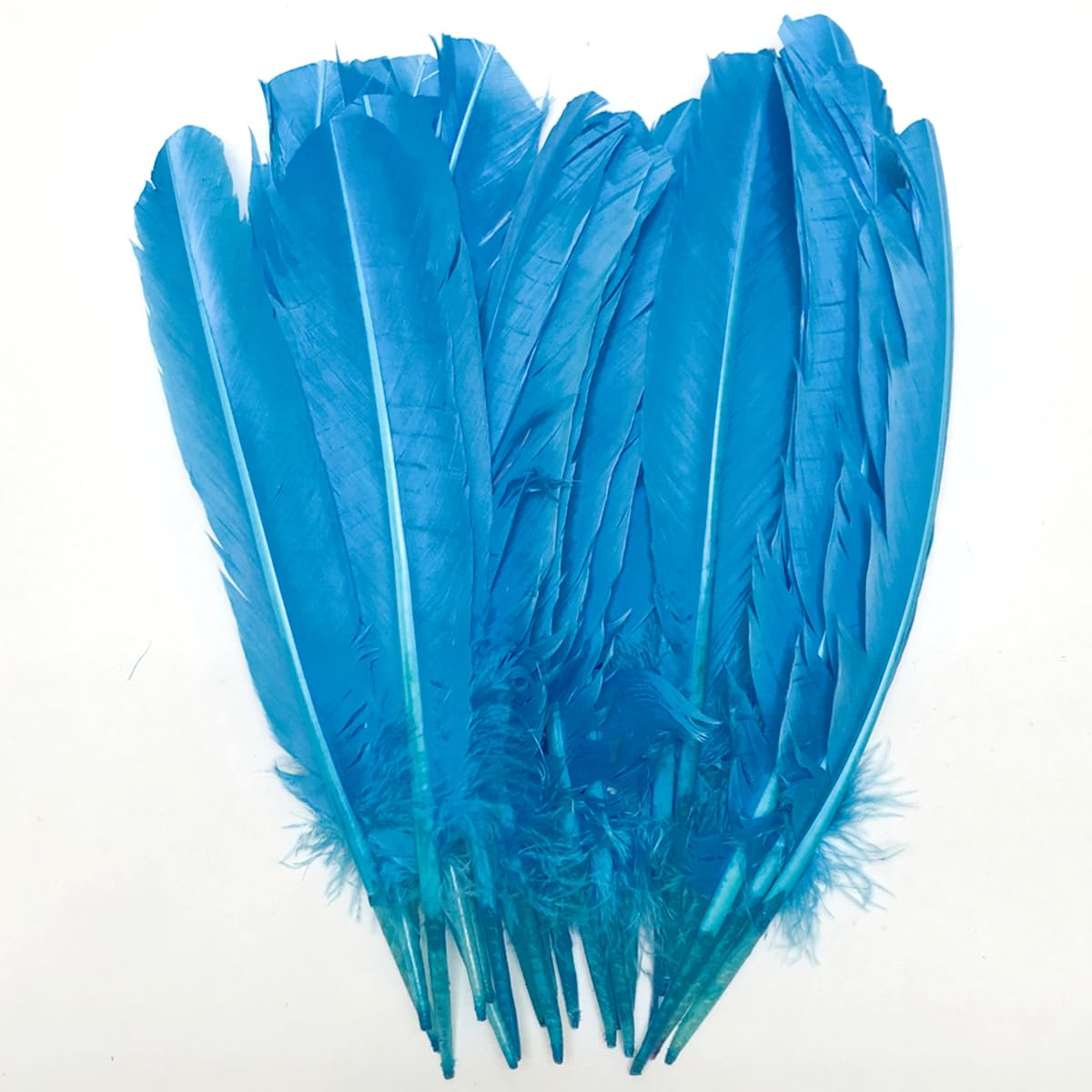 Photo 1 of 24Pcs Lake Blue Turkey Feathers 10~12 inch,Bulk Long Feather for Crafts,Big Size Bilateral Natural Feather,for Wedding Dress and Party Decoration,DIY Fabricating Handicraft Article ((Lake Blue)