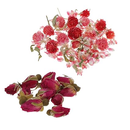 Baoblaze 8g Fleurs Pressées Séchées En Vrac Naturel Pour