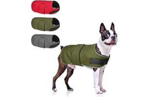 BEAUTYZOO Dog Winter Coat for Medium Dogs Waterproof, Warm Reflective Great Dane Oxford Canvas Jacket, Fleece Dog Cold Weather Coats Windproof for Female Male Dogs, Green M