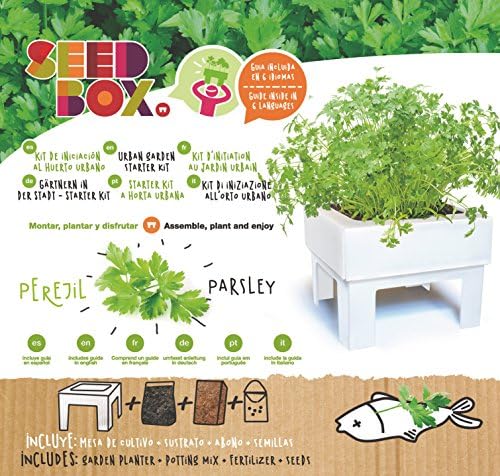 SeedBox SBKSS SBCUPE-Perejil: Amazon.es: Jardín