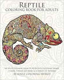 Amazon Com Reptile Coloring Book For Adults An Adult