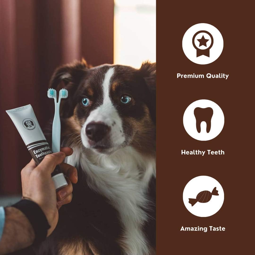 Freshbarks Dog Dental Kit | Two Tubes of The Best Enzymatic Dog Toothpaste and One Specially Designed Double Headed Dog Toothbrush | Clean Away Tartar and Plaque and Prevent Dental Infections: Health & Personal Care