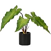 Hollyone Fake Potted Plants Artificial Plants Indoor 11" Faux Plants Caladium Plant in Black Ceramic Pots for Home Decor Office Desk Bathroom Bedroom Greenery Decoration