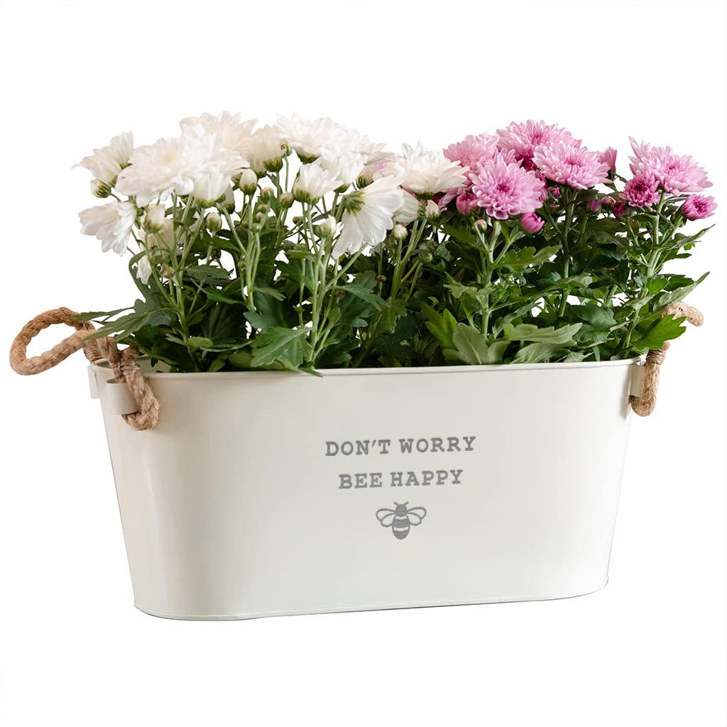 Dust and Things Engraved Metal Planter 'Don't Worry Bee Happy' - Unique Motivational Gifts for Her Women - Funny Plant Lovers Gift for Friends (Medium Planter)
