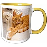 3dRose mug_236171_8 Happy Orange Tabby Cat Relaxing on Fancy Armchair Mug, 11 oz, Yellow