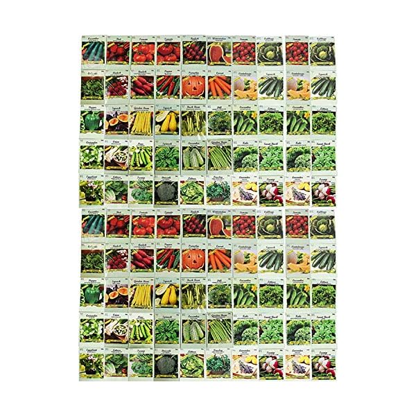 100 Assorted Heirloom Vegetable Seeds 100 NonGMO (100, Deluxe