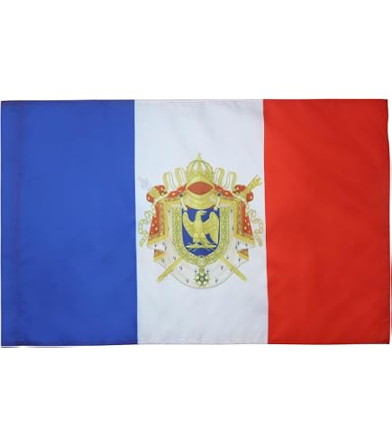 Écusson Abeille Napoléon Bonaparte 8,5cm - Symbole Empire Français - Thermocollant