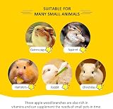 GoHoKi Apple Wood Chew Sticks for Small Animals 200g Rabbits Hamsters Guineapigs view 6