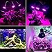CREATE BRIGHT Led Grow Light Bulb, 60W Plant Light Bulb Full Spectrum Led Grow Bulb E26 Grow Plant Light for Indoor Plants,Hydroponics Greenhouse Organic,Pack of 1