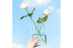 Marycele Book Vase for Flowers, Book Lovers Gifts, Flower Vase for Room Decor Aesthetic, Valentines Day Gifts for Her, Home Decor Essential Apartment Must Haves (Clear)