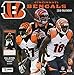 Cincinnati Bengals 2018 Calendar: Full-action Poster-sized Images! by
