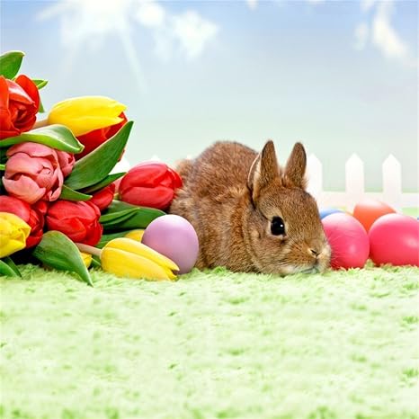 Ofila Easter Bunny Backdrop 6x6ft Painted Eggs Lovely Rabbit Flowers Spring Grass Land Bright Sunshine Fence Newborn Baby Photos Holiday Party