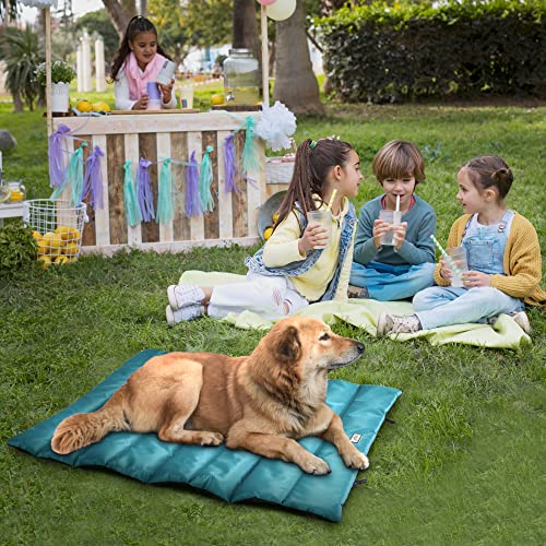 Go Gear by Max & Marlow Portable, Waterproof Roll Up Dog Mat Bed, Medium, Green…