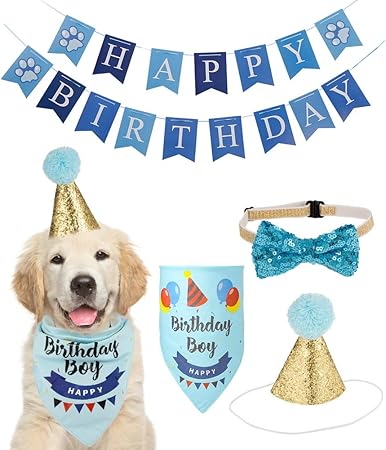 puppy golden retriever with party hats on