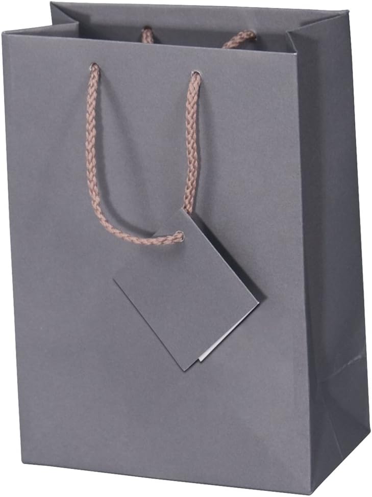10 pcs Medium Matte Dark Grey Shopping Paper Gift Sales Tote Bags with Blank Message Tag 4.75" x 2.5" x 6.75"