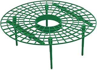 MINGMIN-DZ Dauerhaft 10 PCS Erdbeere Ständer Rahmenhalter Balkon Bepflanzung Rack-Obst Unterstützung Pflanze Blume Kletterpflanze Säule Ständer Garten