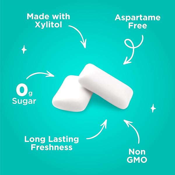 PUR GUM | ASPARTAME FREE CHEWING GUM | 100% XYLITOL | NATURAL WINTERGREEN FLAVORED GUM, 55 PIECES (PACK OF 3)