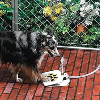 Dog Pet Water Fountain API Doggie Fountain