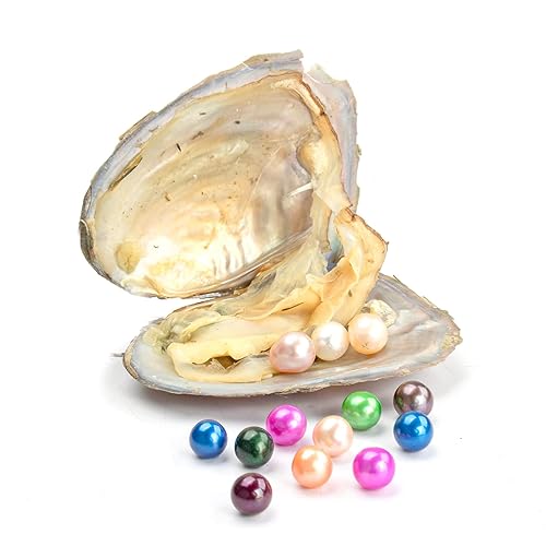 50PCS Freshwater Pearl Oyster Cultured Love Wish Round Pearls
