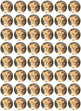 Personalised Photo/Picture Icing Edible Cake/Cupcake Topper/Decoration (1.2" Circle x 48)