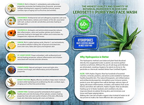 LEROSETT Purifying (ClearSkin) Face Wash 6.7 oz-Based on Nutrient Rich Organic Aloe