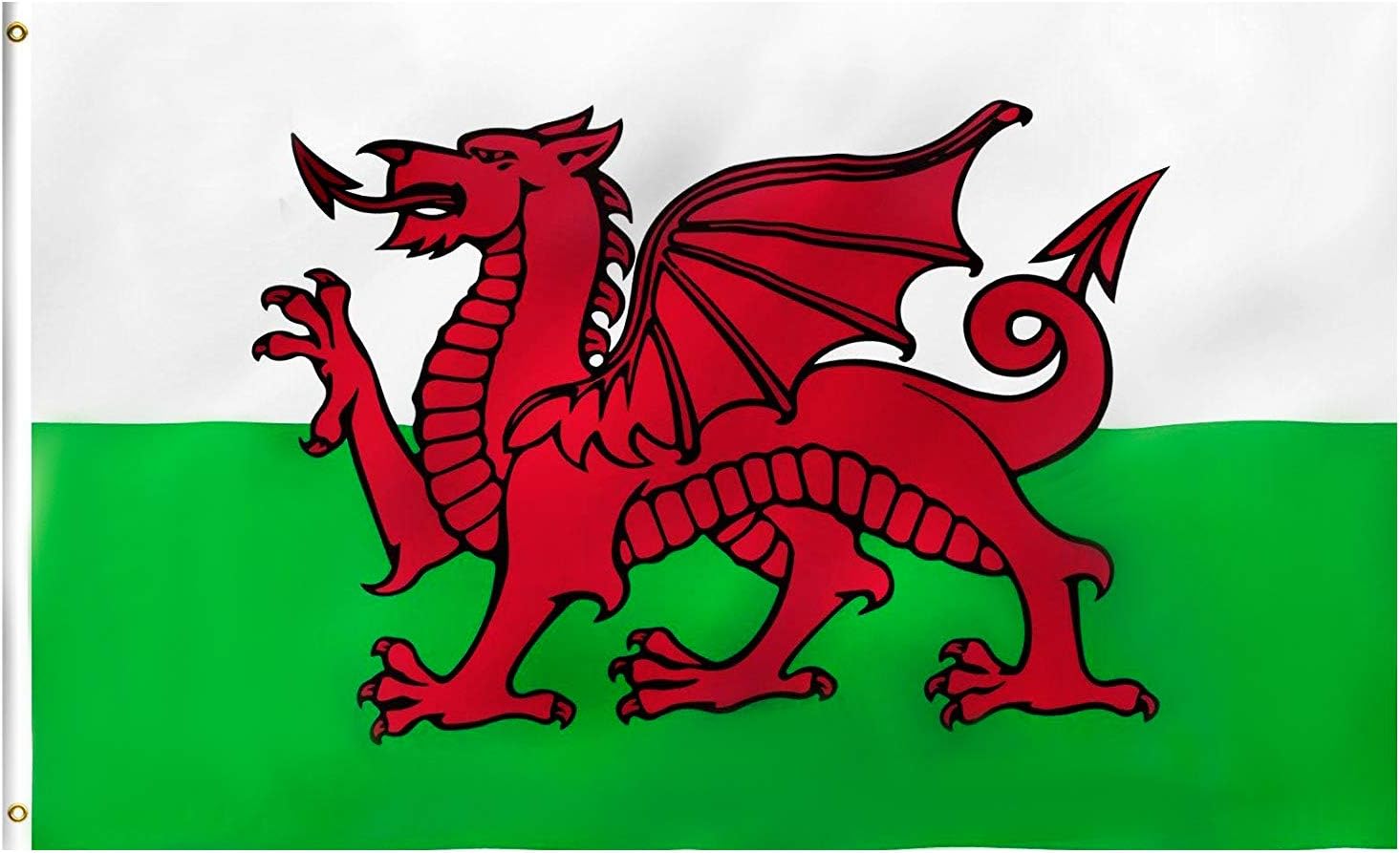 Lixure Wales Flag The Red Dragon 5x8FT(150x240cm) Polyester Vivid Color and Double Stiched